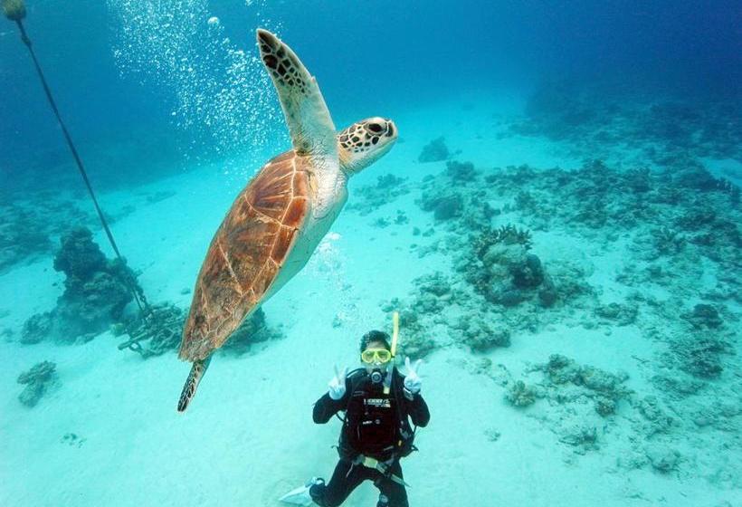 ホテル Pension Seasir