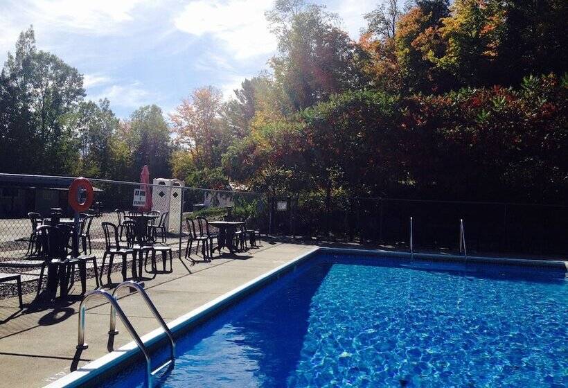 Lakeview Motel