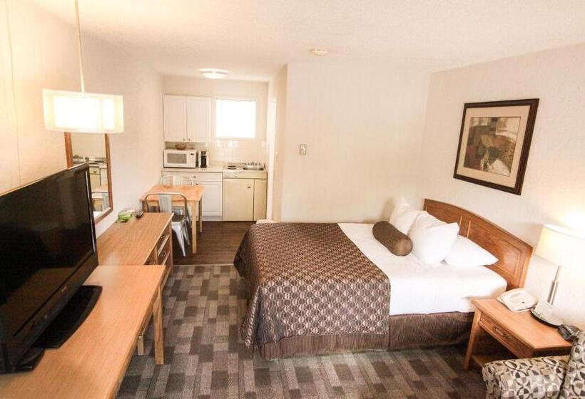 汽车旅馆  Crystal Springs Lodge