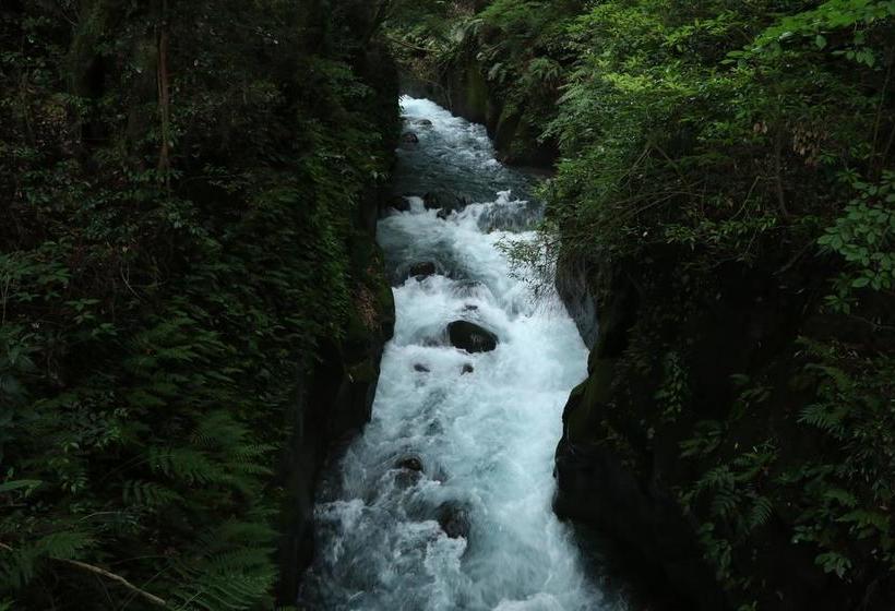 ريوكان Tozanguchi Onsen