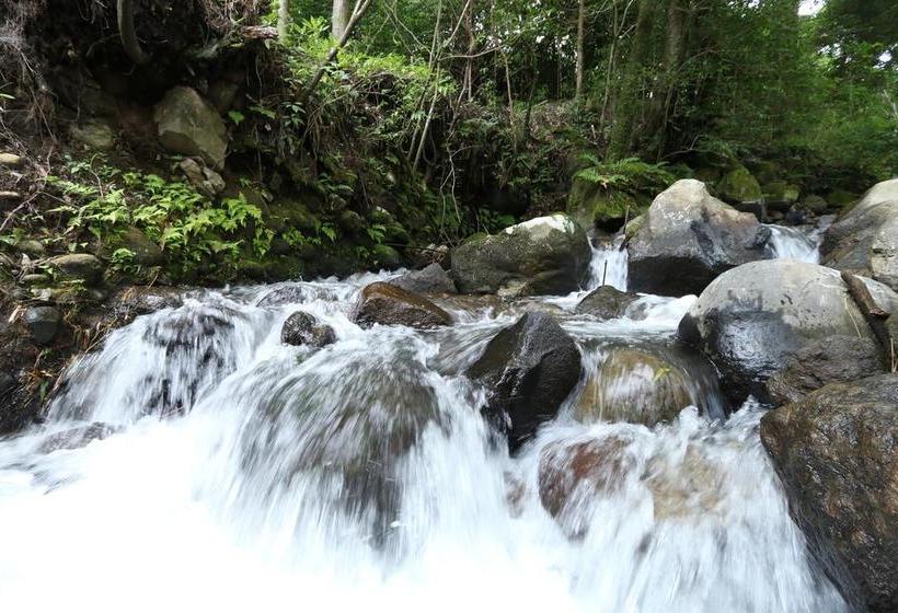 ريوكان Tozanguchi Onsen