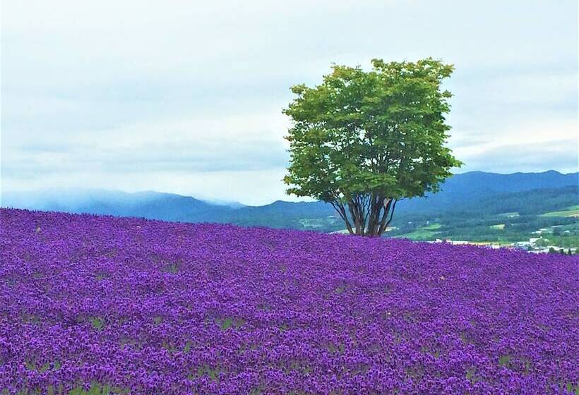 فندق Furano La Terre
