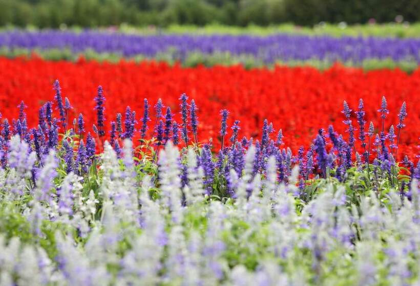 فندق Furano La Terre