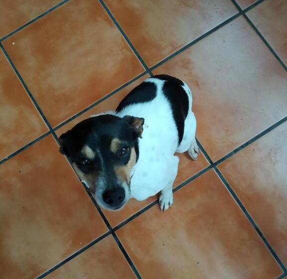 בית מלון כפרי Mendi Alai