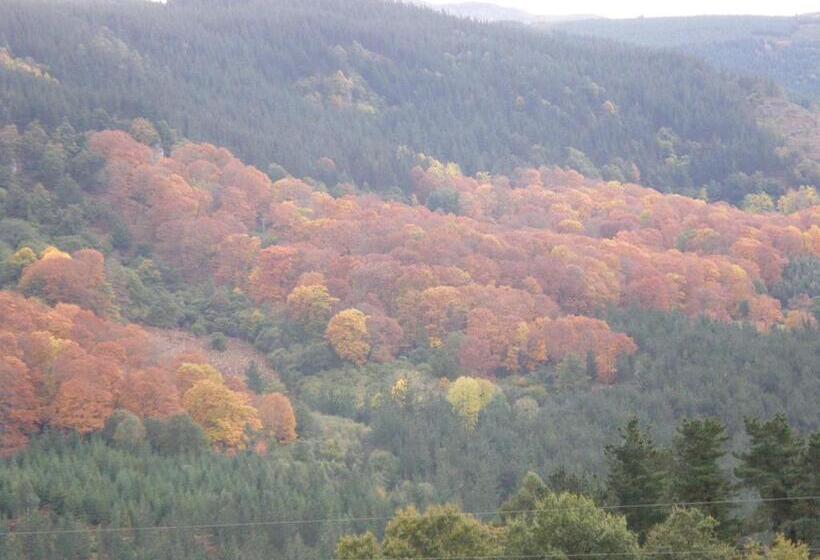 בית מלון כפרי Mendi Alai