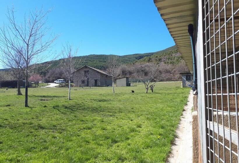 Albergue A Noguera