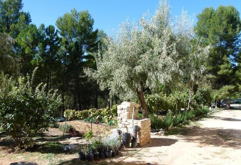 הוסטל Cortijo Covaroca