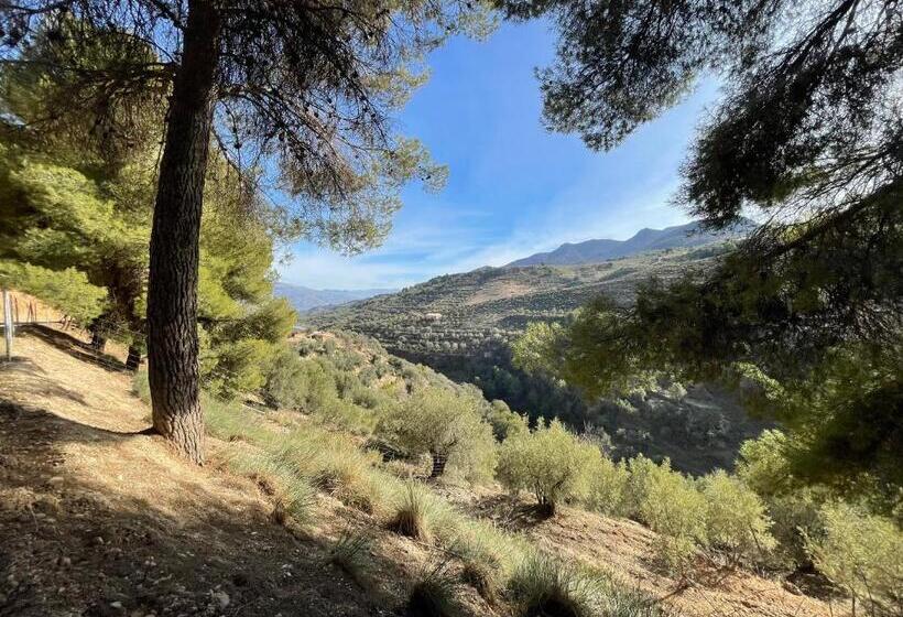 צימר Cortijo El Pino Retreat