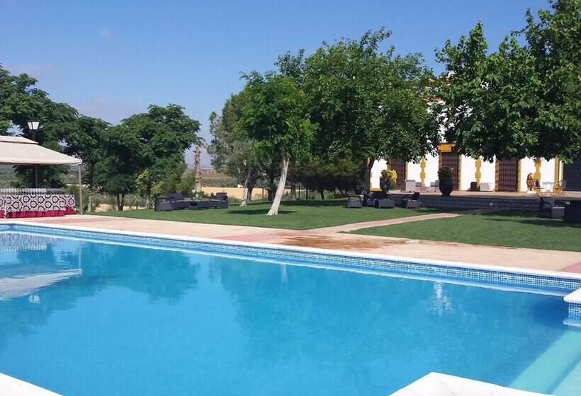 فندق Bodega El Moral