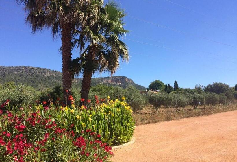 هتل Villa Sampoli   Agroturismo Son Sampoli   Adults Only