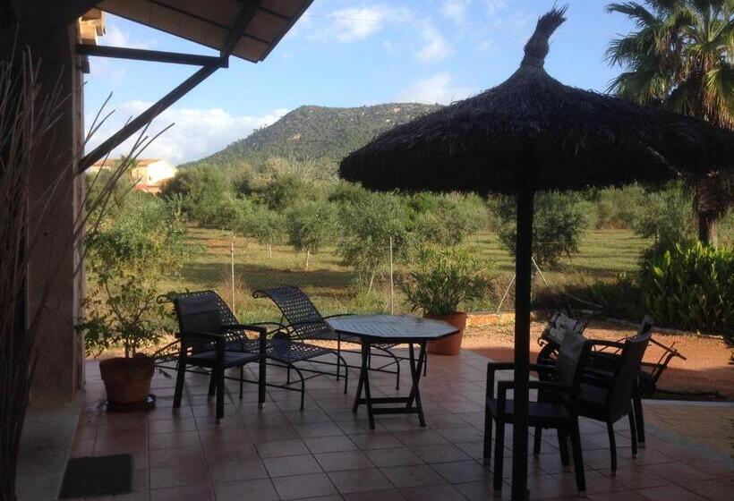 هتل Villa Sampoli   Agroturismo Son Sampoli   Adults Only