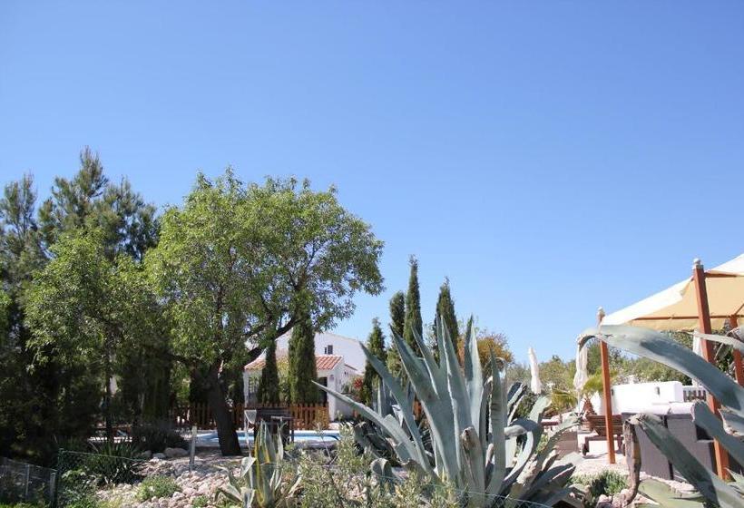 Boutique Bed & Breakfast Casa Paco Adults Only