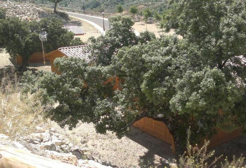 اقامتگاه Complejo Pueblo Blanco