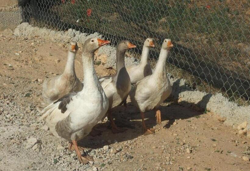 استراحتگاه Cabañas Cortijo El Helao