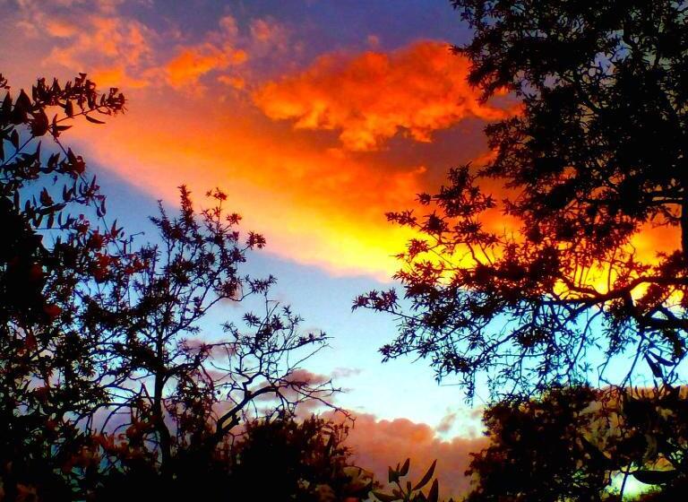 منتجع Camping Alpujarras