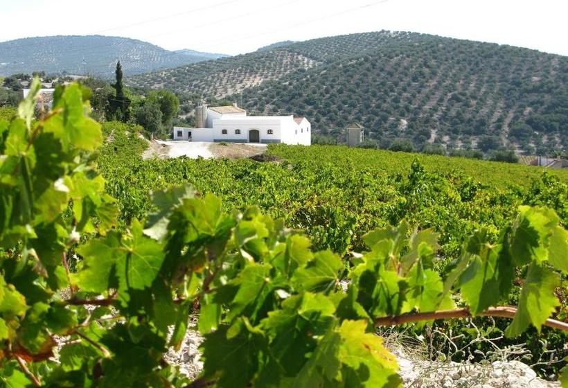 تختخواب و صبحانه Casa Olea Hotel Rural