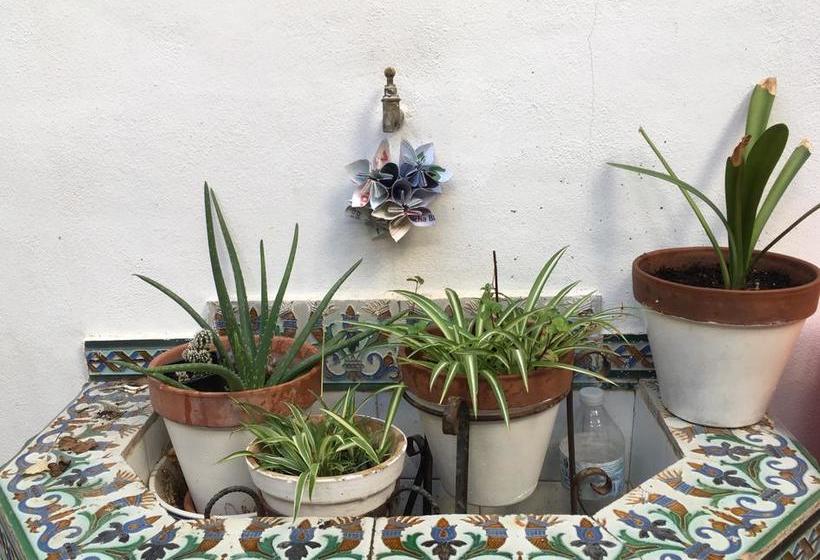 تختخواب و صبحانه El Sueño Hostel