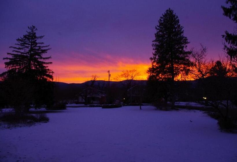 住宿加早餐  South Court Inn