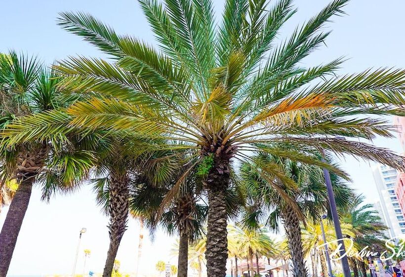 מוטל Devon Shores