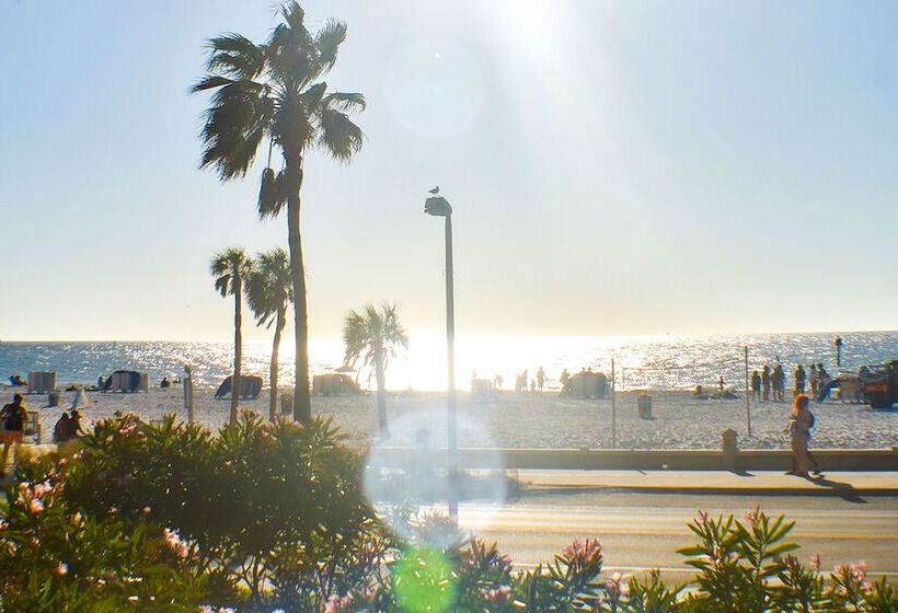 מוטל Devon Shores