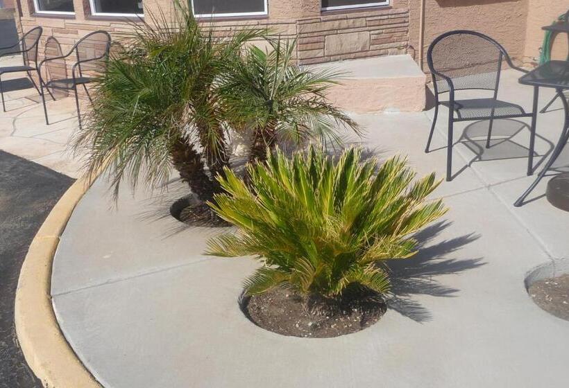 فندق على الطريق Palms Inn