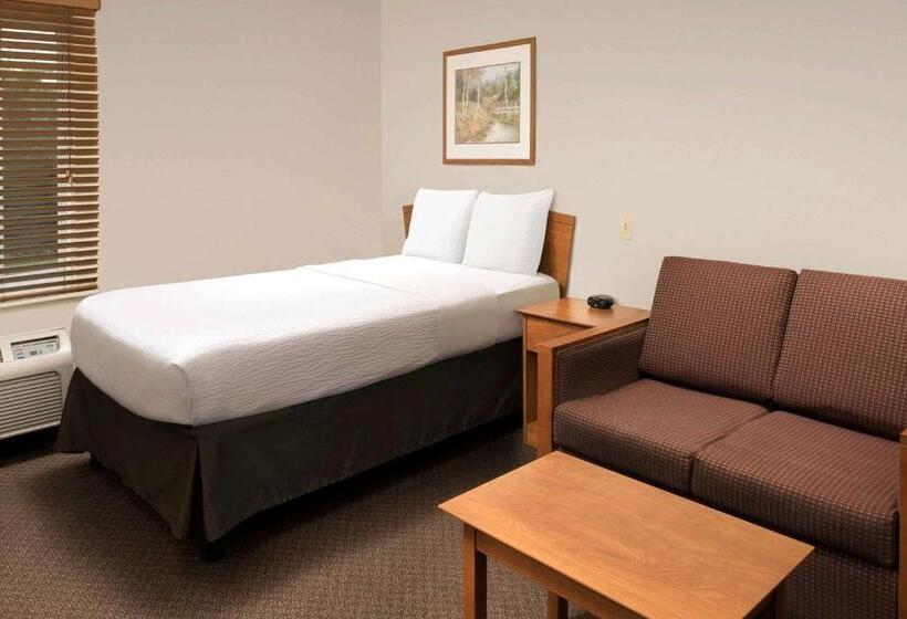 فندق على الطريق Woodspring Suites Spartanburg Duncan