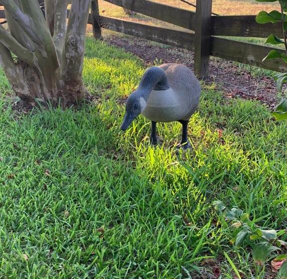 The Hoffmann Vacation Rental Bed & Breakfast