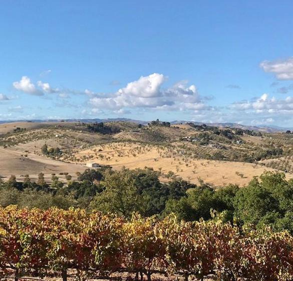 צימר The Eden House Vineyard