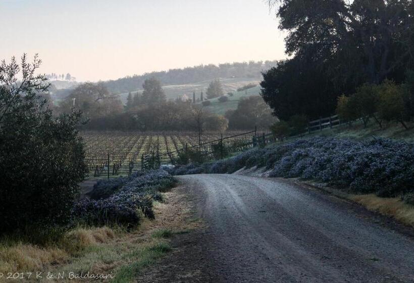 צימר The Eden House Vineyard