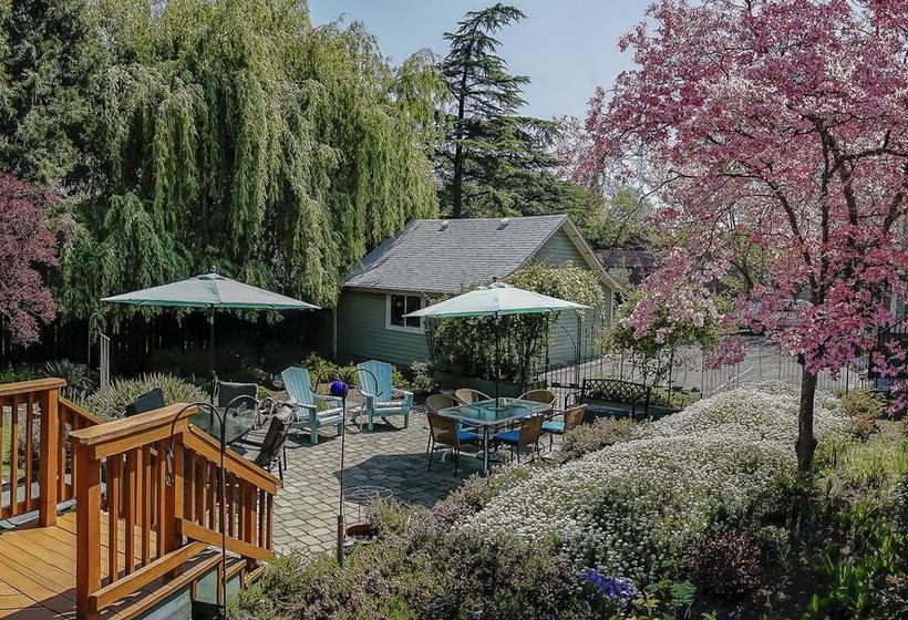 مبيت وإفطار Iris Inn