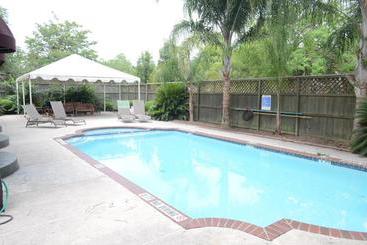 Hi  Houston The Morty Rich Hostel