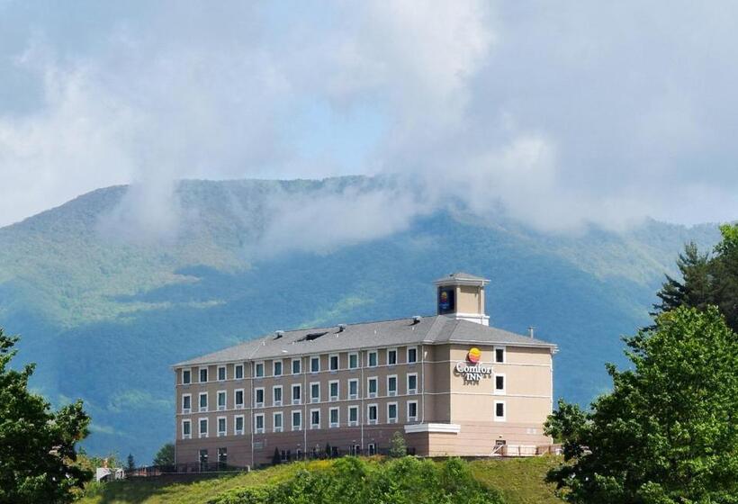בית מלון כפרי Comfort Inn Sylva   Cullowhee