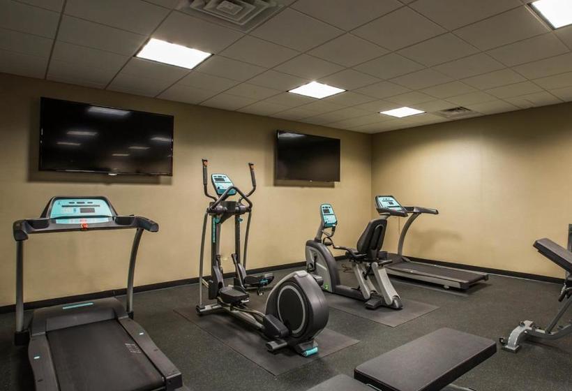 בית מלון כפרי Comfort Inn Sylva   Cullowhee