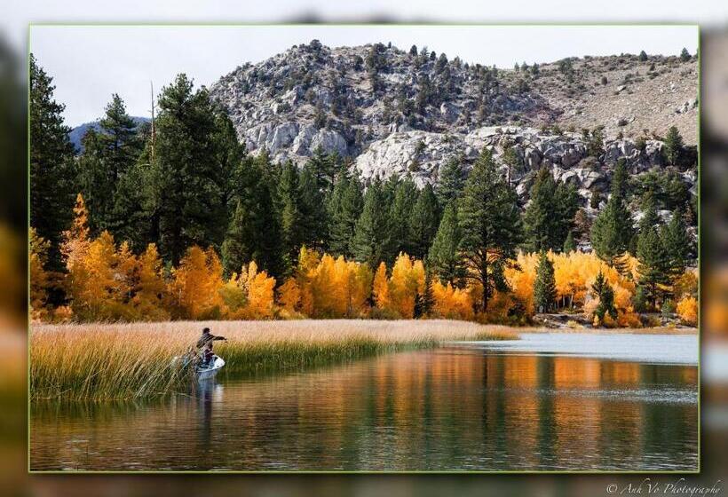 호텔 Lake Front Cabins