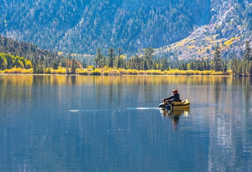 호텔 Lake Front Cabins