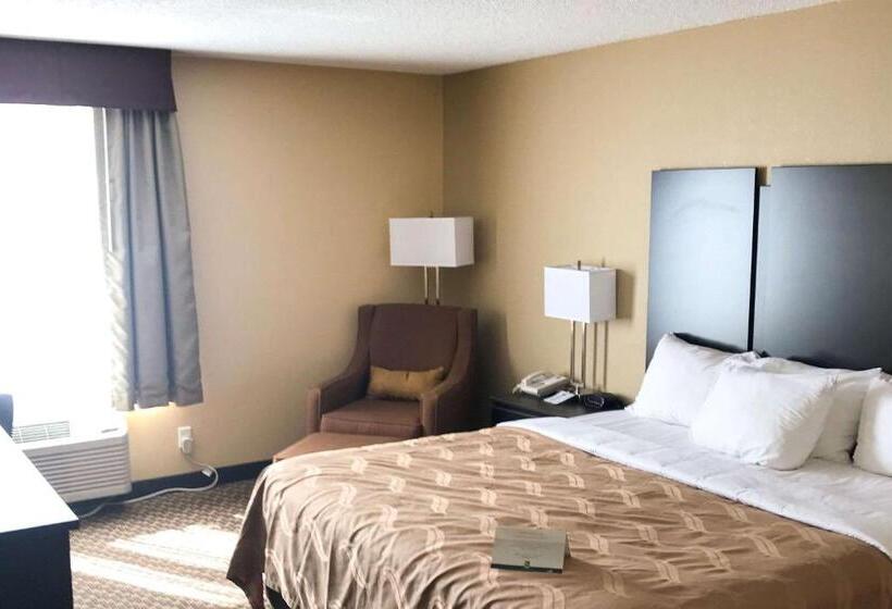 酒店 Quality Inn & Suites Mendota Near I 39