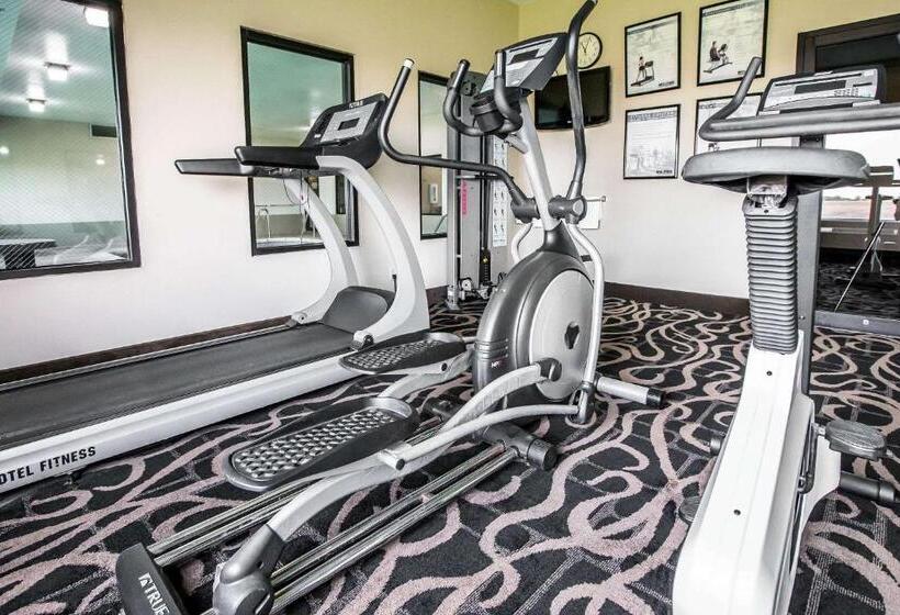 酒店 Quality Inn & Suites Mendota Near I 39