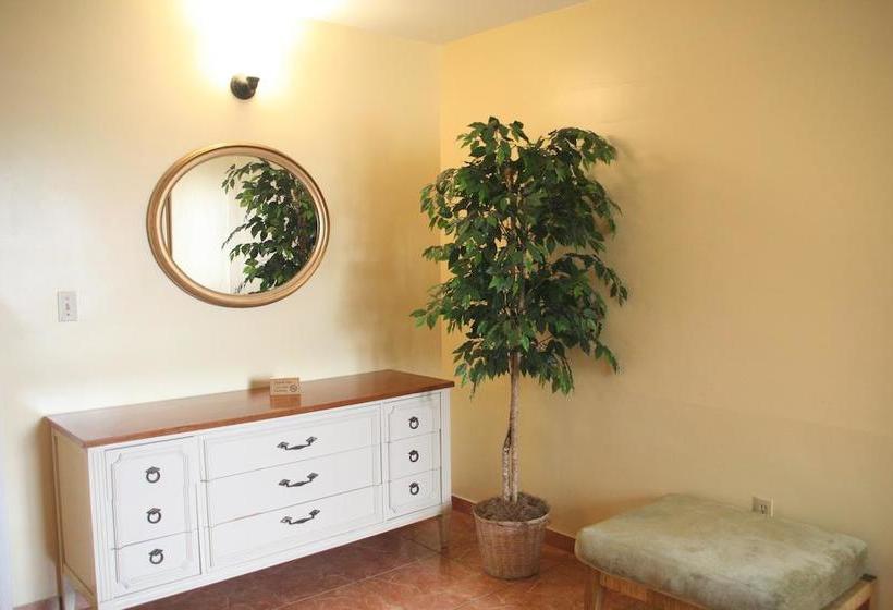 فندق على الطريق Capri Apartments