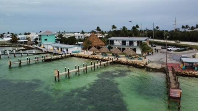 فندق على الطريق Edgewater Lodge