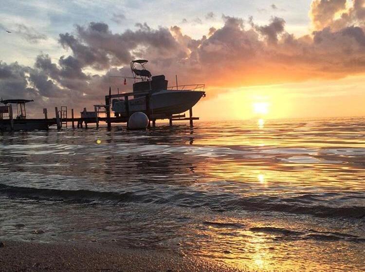 فندق على الطريق Edgewater Lodge