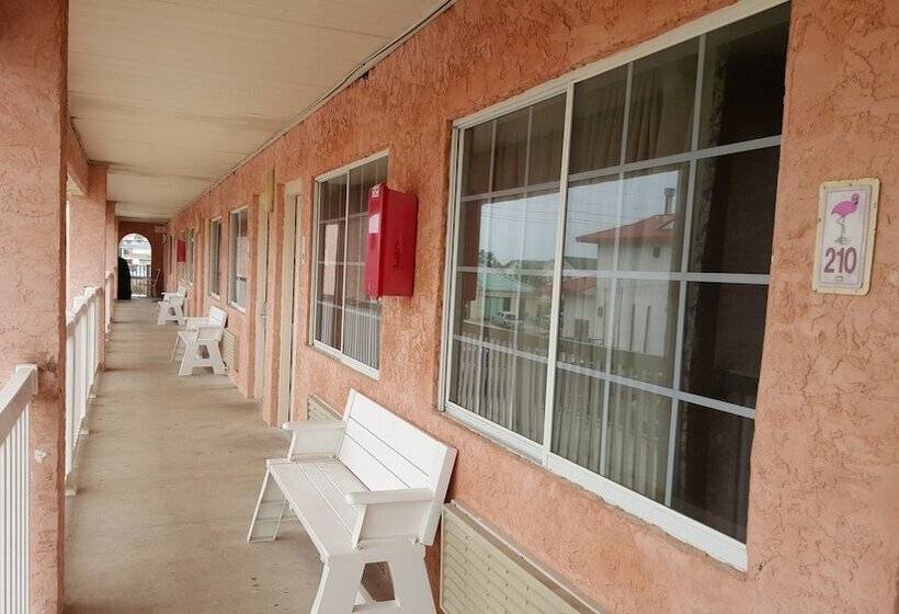 فندق على الطريق Flamingo Inn