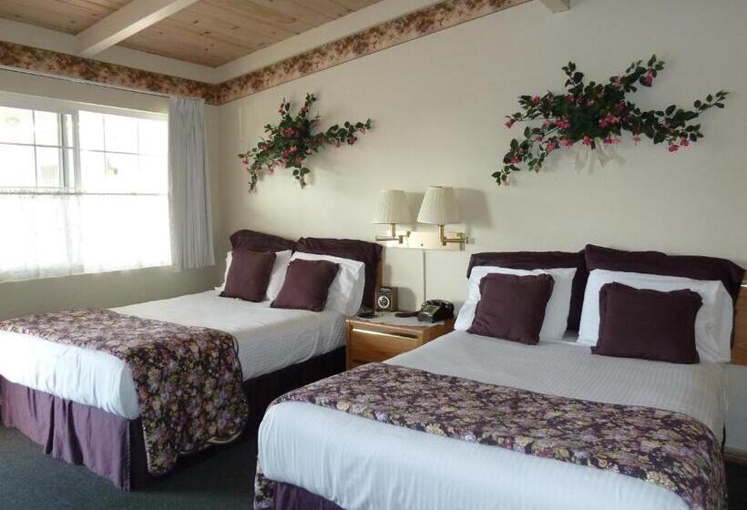 汽车旅馆  Sundown Inn Of Morro Bay