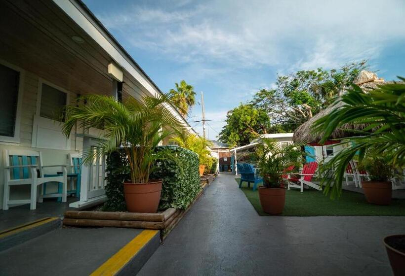 Seashell Motel And International Hostel