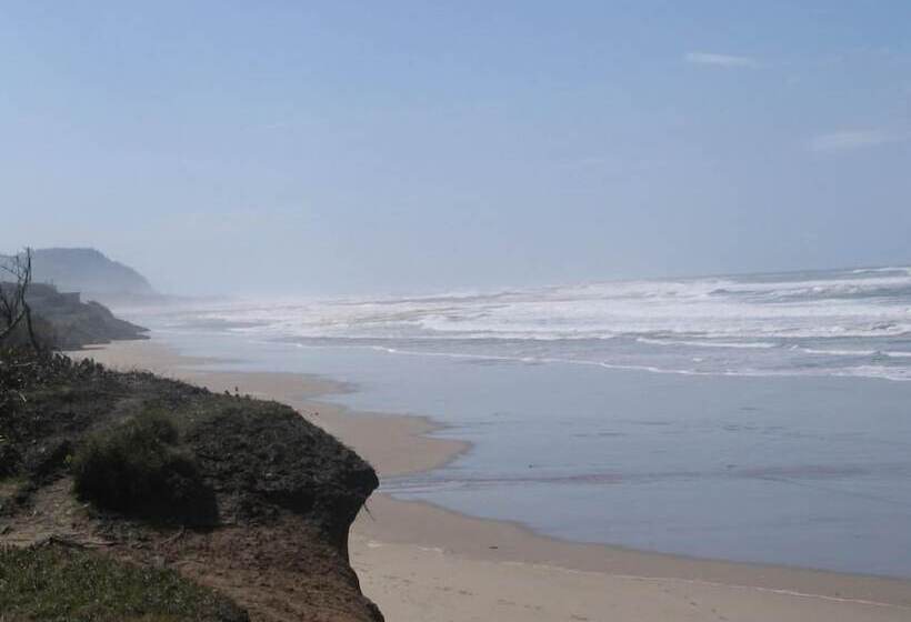 Tillicum Beach Motel   Formerly Deane S Oceanfront Lodge