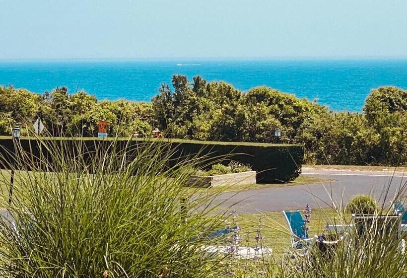 汽车旅馆  Hartman's Briney Breezes Beach Resort