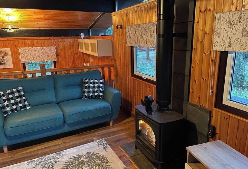 11 Tan Y Coed Woodland Lodge