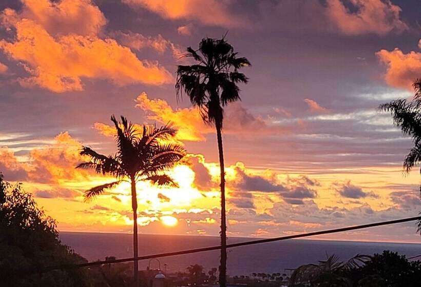 Dog Friendly San Diego Home   1 Mi To Ocean Beach