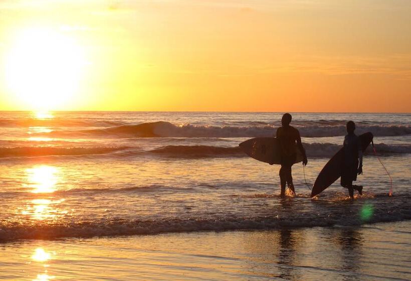 هتل Ecolodge El Almejal