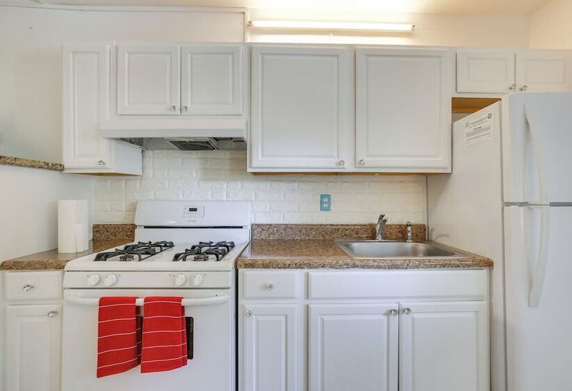 Hollywood Cottage Near Haulover Park: Pets Welcome