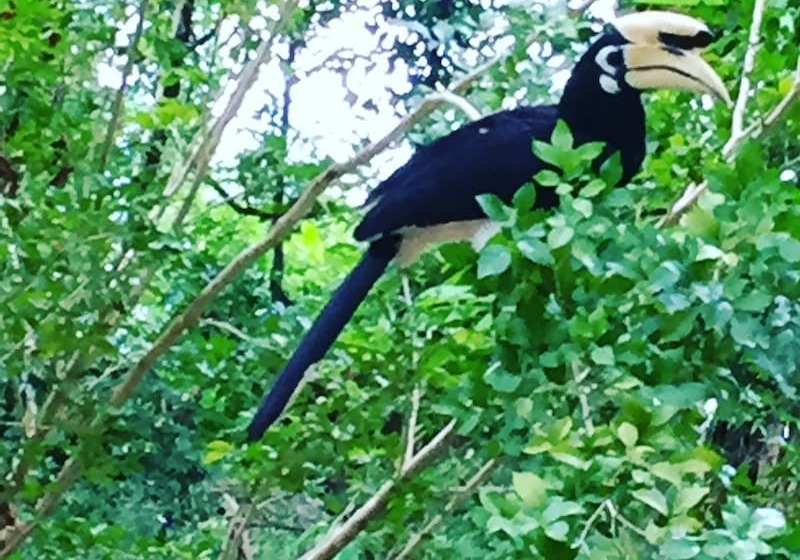 هتل Sea Eagle Bungalow